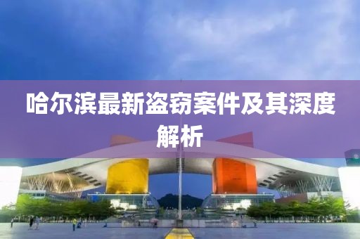 哈尔滨最新盗窃案件及其深度解析