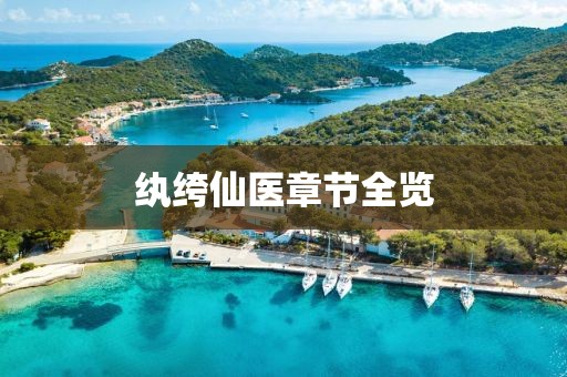 纨绔仙医章节全览