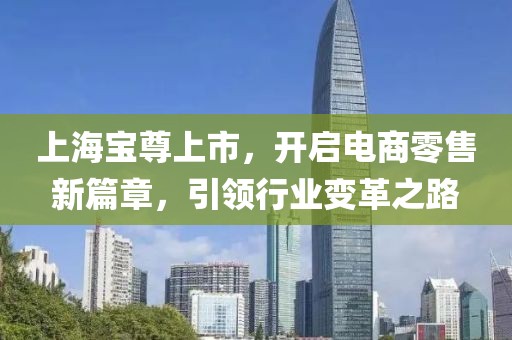 上海宝尊上市，开启电商零售新篇章，引领行业变革之路