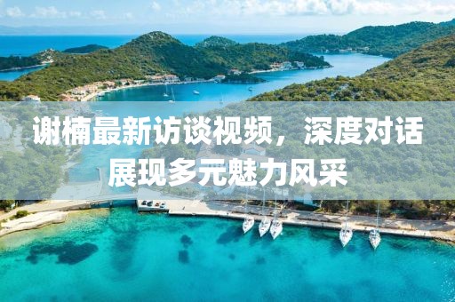 谢楠最新访谈视频，深度对话展现多元魅力风采