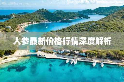 人参最新价格行情深度解析
