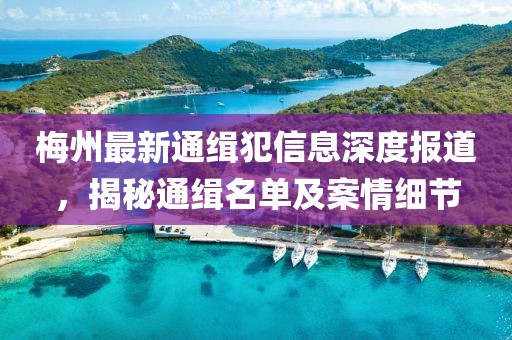 梅州最新通缉犯信息深度报道，揭秘通缉名单及案情细节