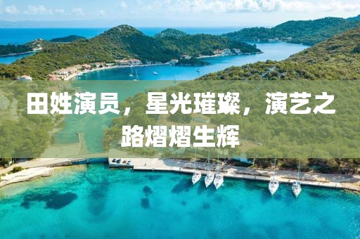 田姓演员，星光璀璨，演艺之路熠熠生辉