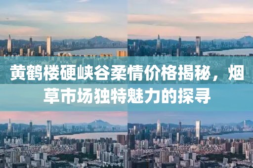 黄鹤楼硬峡谷柔情价格揭秘，烟草市场独特魅力的探寻