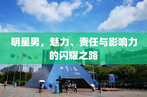 明星男，魅力、责任与影响力的闪耀之路