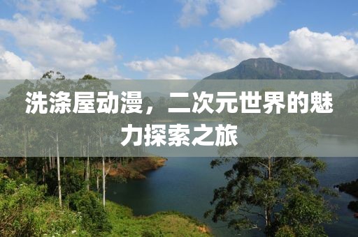 洗涤屋动漫，二次元世界的魅力探索之旅