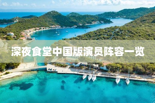 深夜食堂中国版演员阵容一览
