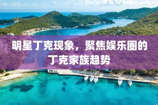 明星丁克现象，聚焦娱乐圈的丁克家族趋势
