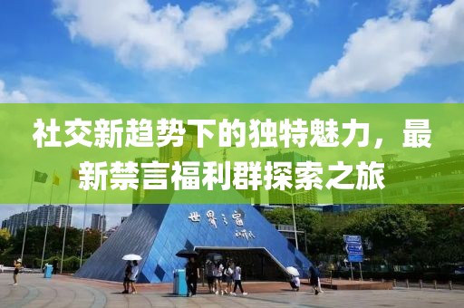 社交新趋势下的独特魅力，最新禁言福利群探索之旅