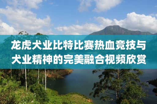 龙虎犬业比特比赛热血竞技与犬业精神的完美融合视频欣赏