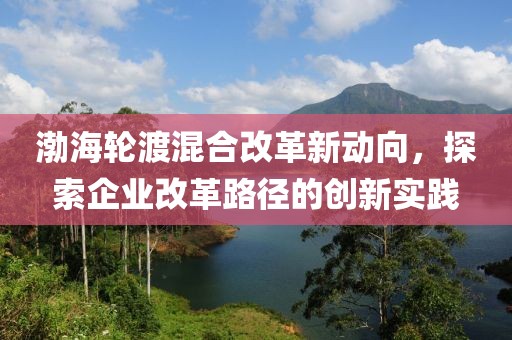 渤海轮渡混合改革新动向，探索企业改革路径的创新实践