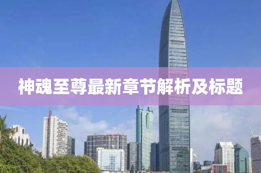 神魂至尊最新章节解析及标题