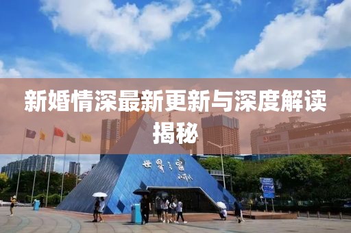 新婚情深最新更新与深度解读揭秘