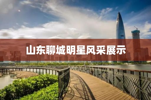 山东聊城明星风采展示