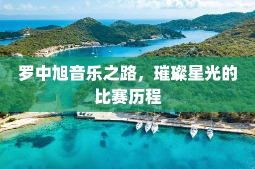 罗中旭音乐之路，璀璨星光的比赛历程
