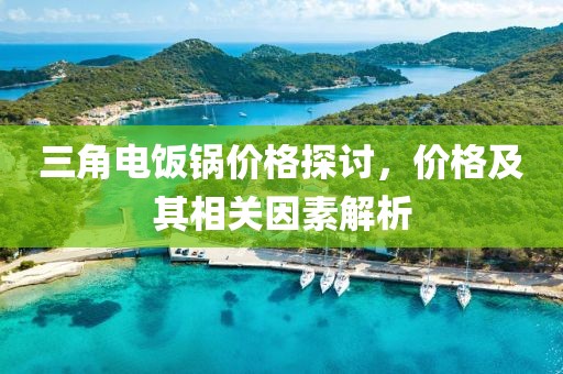 三角电饭锅价格探讨，价格及其相关因素解析