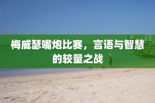 梅威瑟嘴炮比赛，言语与智慧的较量之战