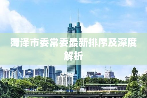 菏泽市委常委最新排序及深度解析