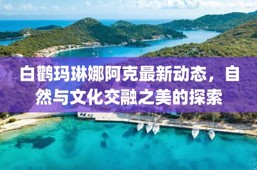白鹳玛琳娜阿克最新动态，自然与文化交融之美的探索