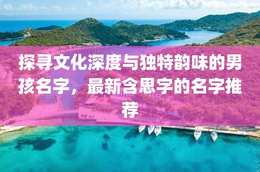 探寻文化深度与独特韵味的男孩名字，最新含思字的名字推荐