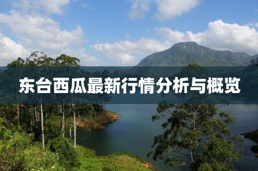 2025年5月7日 第4页