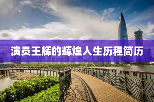 演员王辉的辉煌人生历程简历