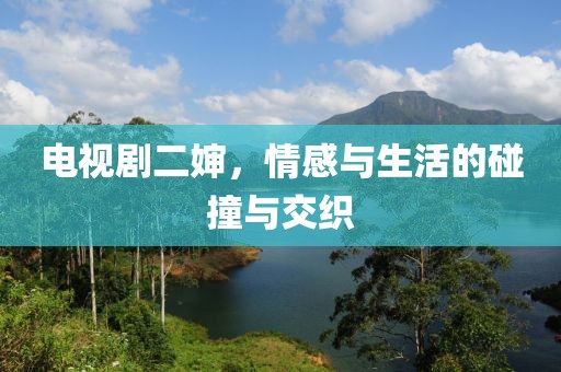 电视剧二婶，情感与生活的碰撞与交织
