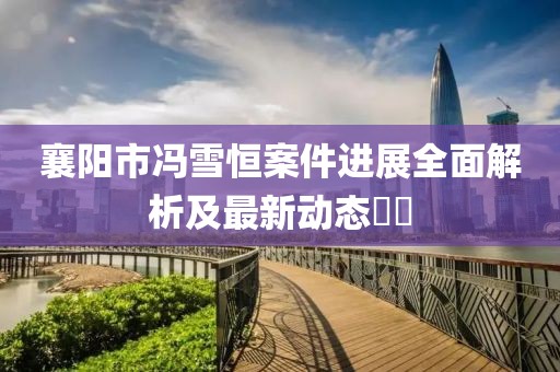 襄阳市冯雪恒案件进展全面解析及最新动态​​