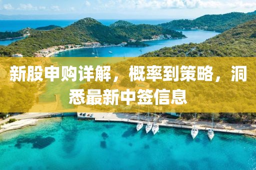 新股申购详解，概率到策略，洞悉最新中签信息