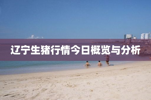 辽宁生猪行情今日概览与分析