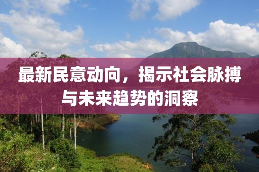 最新民意动向，揭示社会脉搏与未来趋势的洞察