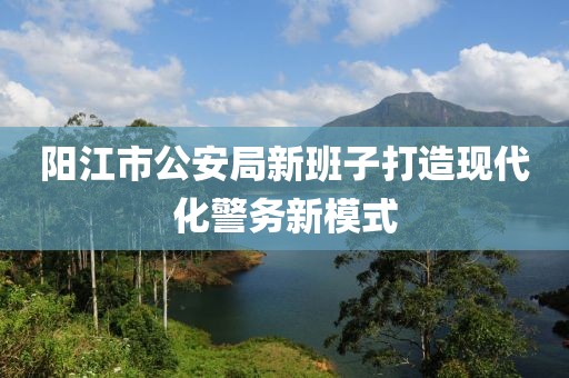 阳江市公安局新班子打造现代化警务新模式