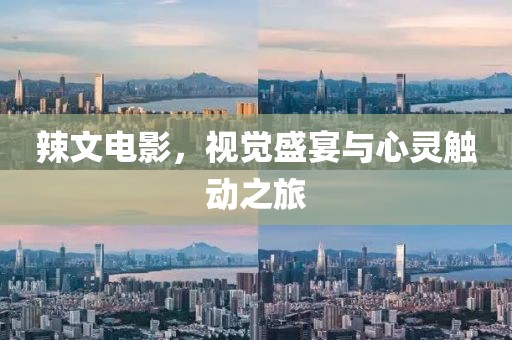 辣文电影，视觉盛宴与心灵触动之旅