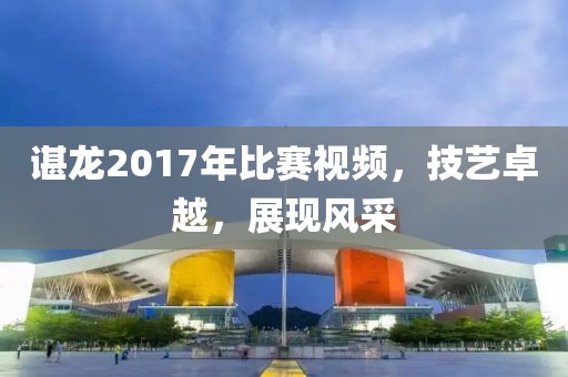 谌龙2017年比赛视频，技艺卓越，展现风采