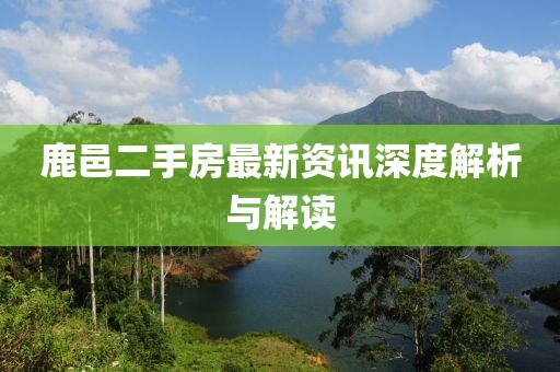 鹿邑二手房最新资讯深度解析与解读