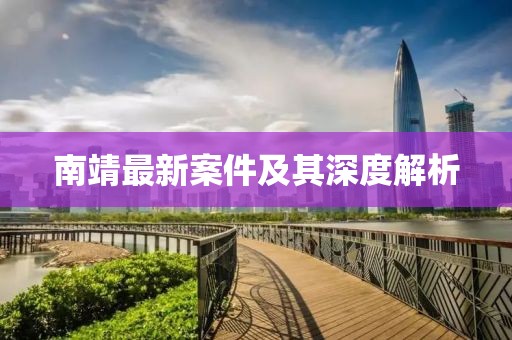 南靖最新案件及其深度解析