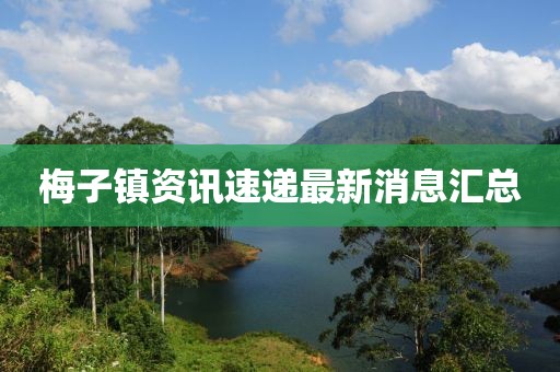 梅子镇资讯速递最新消息汇总