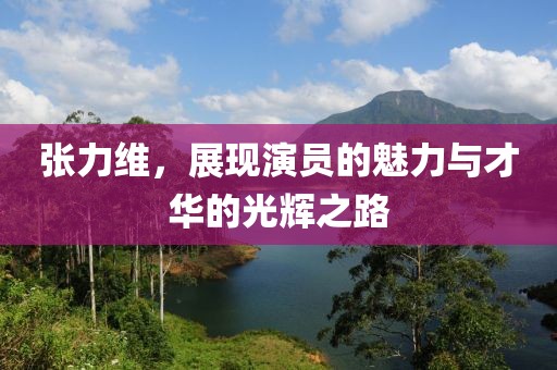 张力维，展现演员的魅力与才华的光辉之路