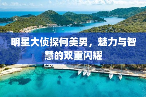 明星大侦探何美男，魅力与智慧的双重闪耀