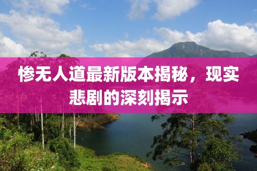 惨无人道最新版本揭秘，现实悲剧的深刻揭示