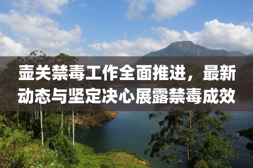 壶关禁毒工作全面推进，最新动态与坚定决心展露禁毒成效