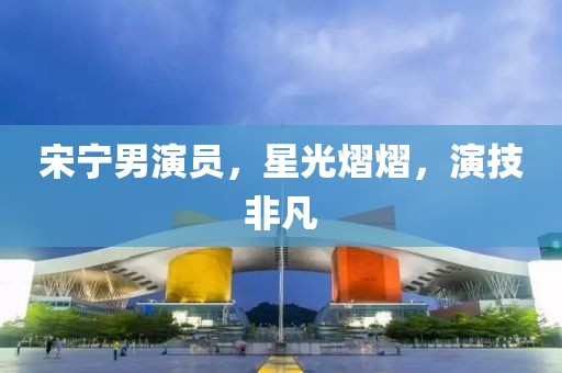 宋宁男演员，星光熠熠，演技非凡