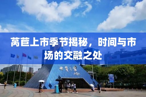莴苣上市季节揭秘，时间与市场的交融之处