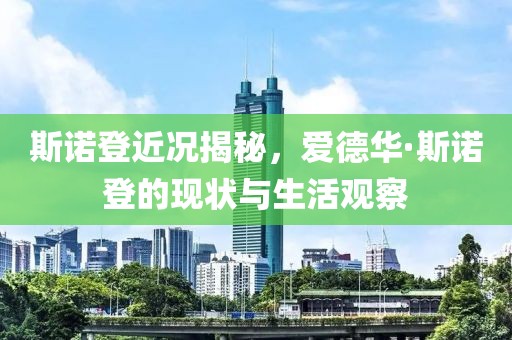 斯诺登近况揭秘，爱德华·斯诺登的现状与生活观察