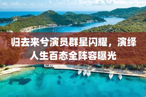 归去来兮演员群星闪耀，演绎人生百态全阵容曝光