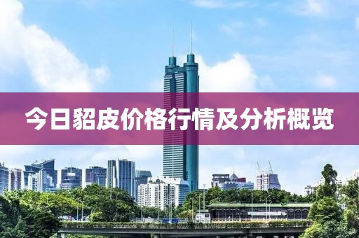 今日貂皮价格行情及分析概览