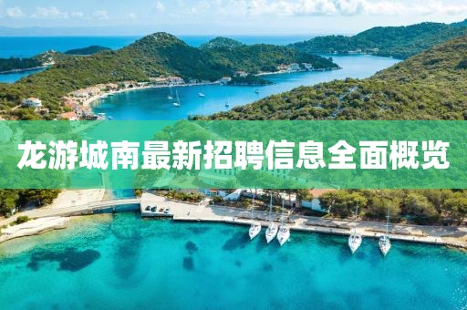 龙游城南最新招聘信息全面概览