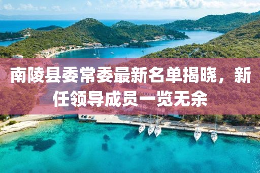 南陵县委常委最新名单揭晓，新任领导成员一览无余