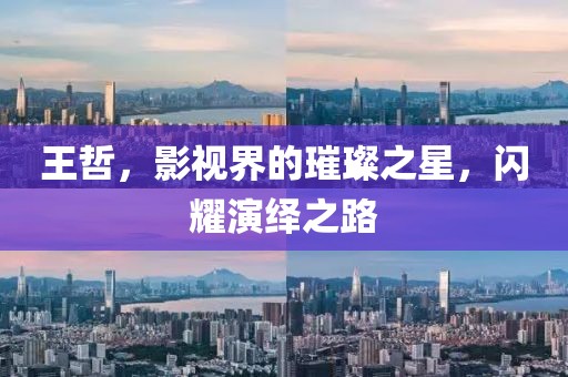 王哲，影视界的璀璨之星，闪耀演绎之路
