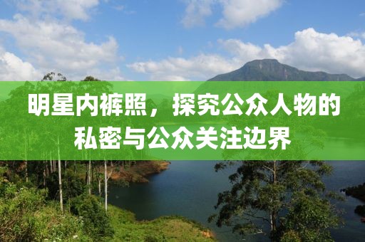 明星内裤照，探究公众人物的私密与公众关注边界